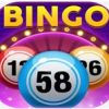 BINGOS.APP